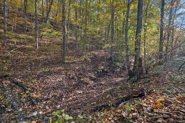 0 W Sheepneck Rd, Mount Pleasant, TN 38474