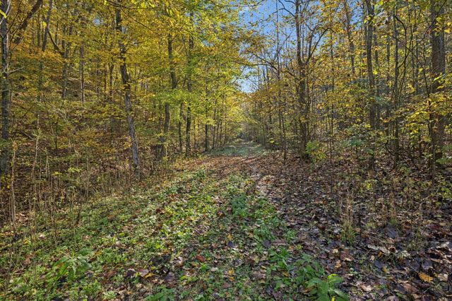 0 W Sheepneck Rd, Mount Pleasant, TN 38474