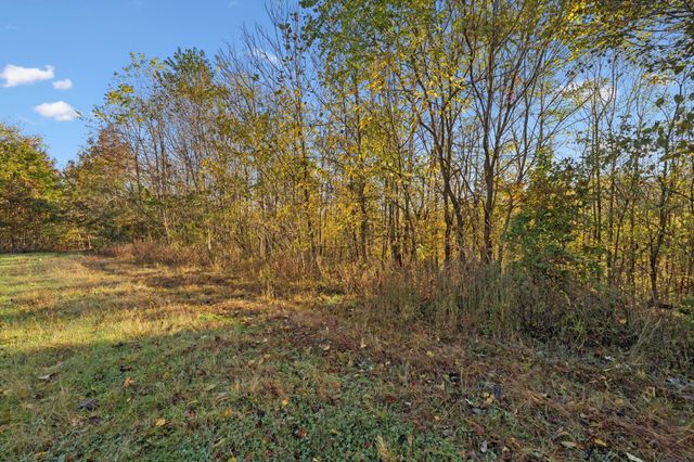 0 W Sheepneck Rd, Mount Pleasant, TN 38474