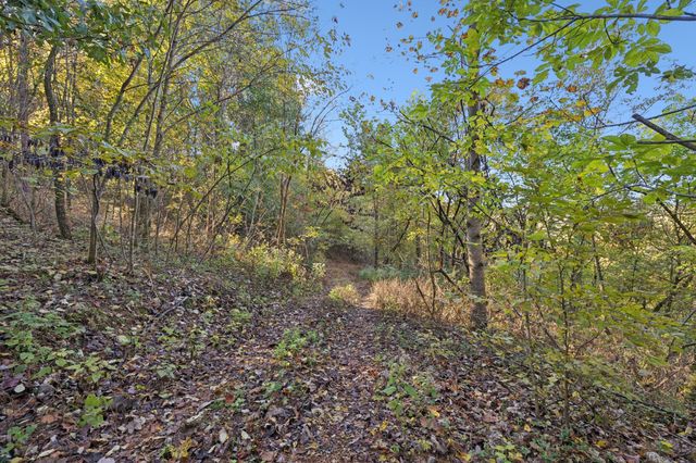 0 W Sheepneck Rd, Mount Pleasant, TN 38474