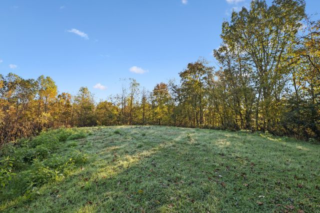 0 W Sheepneck Rd, Mount Pleasant, TN 38474