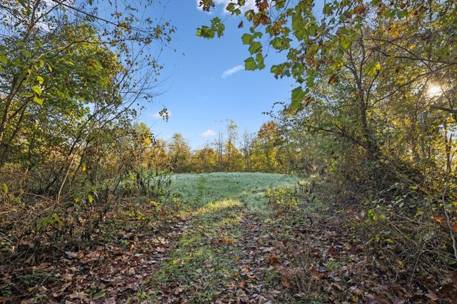 0 W Sheepneck Rd, Mount Pleasant, TN 38474