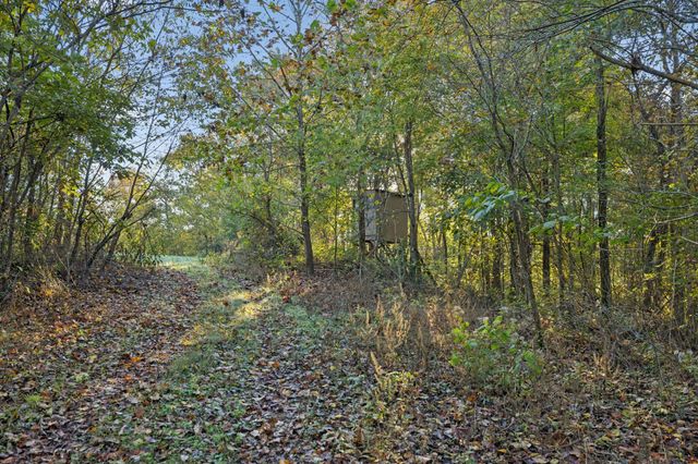 0 W Sheepneck Rd, Mount Pleasant, TN 38474