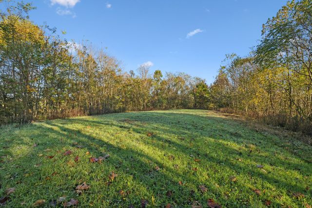0 W Sheepneck Rd, Mount Pleasant, TN 38474