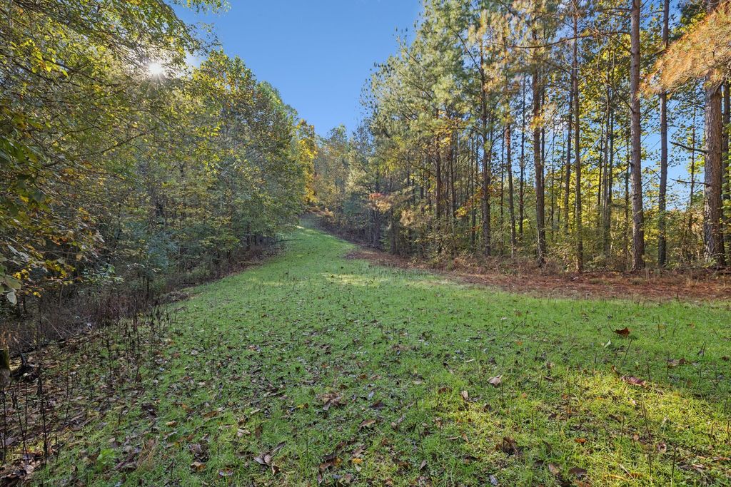 0 W Sheepneck Rd, Mount Pleasant, TN 38474