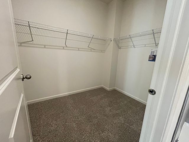 10099 fleetwood Street, Huntley, IL 60142