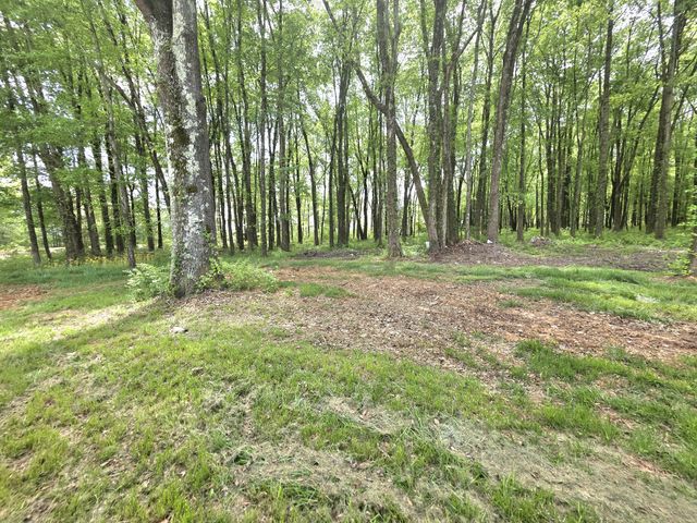 1151 Dry Creek Rd, Smithville, TN 37166