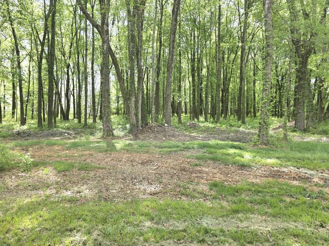 1151 Dry Creek Rd, Smithville, TN 37166