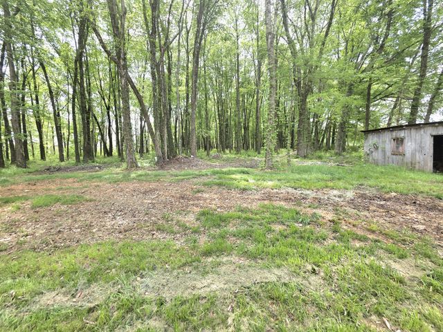1151 Dry Creek Rd, Smithville, TN 37166