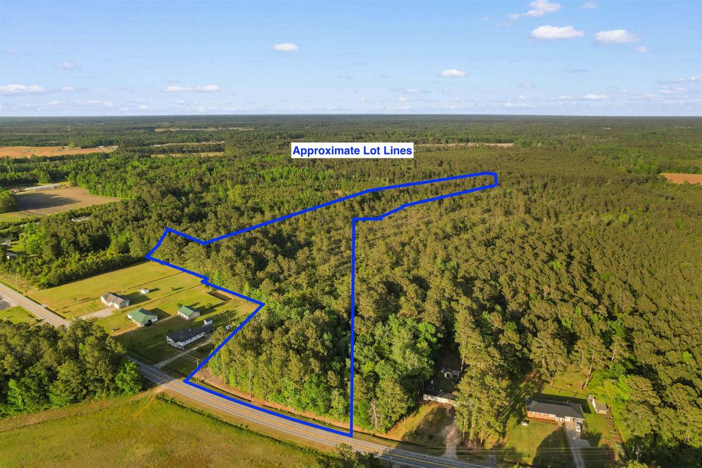 TBD Mount Olive Rd., Loris, SC 29569 — photo 2