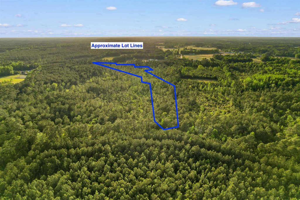 TBD Mount Olive Rd., Loris, SC 29569 — photo 3