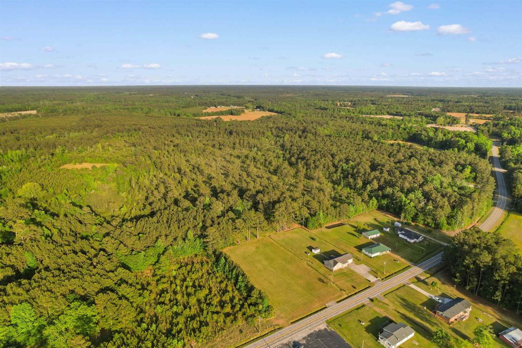 TBD Mount Olive Rd., Loris, SC 29569 — photo 4