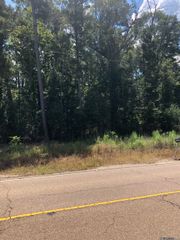 TBD La Hwy 447, Walker, LA 70785