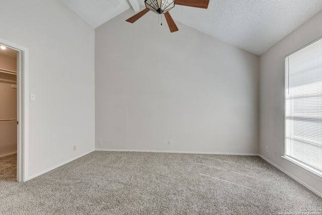 8131 Forest Bow, Live Oak, TX 78233