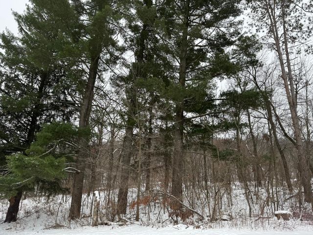 453 Spring Creek Road S, Red Wing, MN 55066