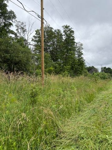 VL 56th Street Lot C, Fennville, MI 49408