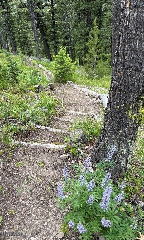 121 Old Toby Road, Big Sky, MT 59716 photo 14