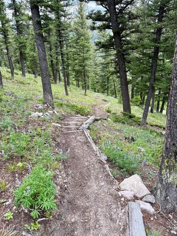 121 Old Toby Road, Big Sky, MT 59716 photo 15