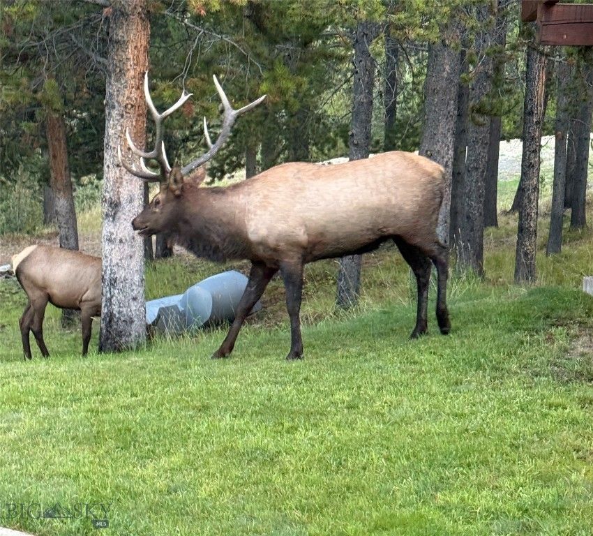 121 Old Toby Road, Big Sky, MT 59716 photo 21