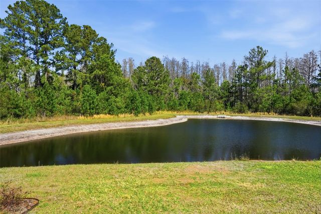 18093 TURNING LEAF CIRCLE, Land O Lakes, FL 34638