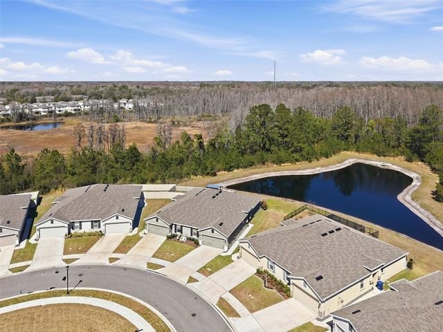 18093 TURNING LEAF CIRCLE, Land O Lakes, FL 34638