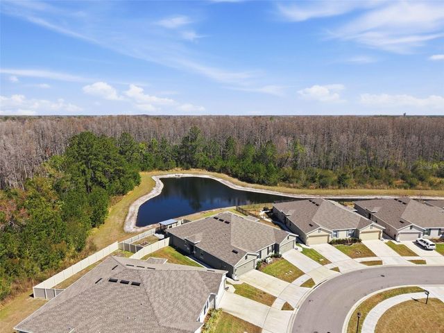 18093 TURNING LEAF CIRCLE, Land O Lakes, FL 34638