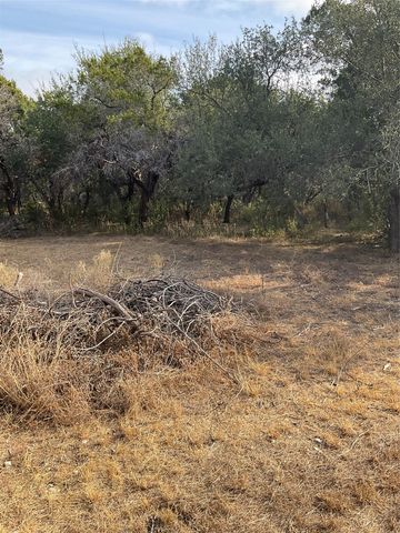 17308 W 1st ST, Leander, TX 78641