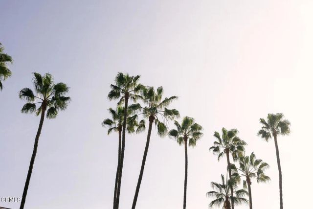 124 W Colorado Street 501, Glendale, CA 91204