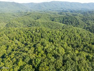 Tbd Patty Branch Road, Bristol, TN 37620