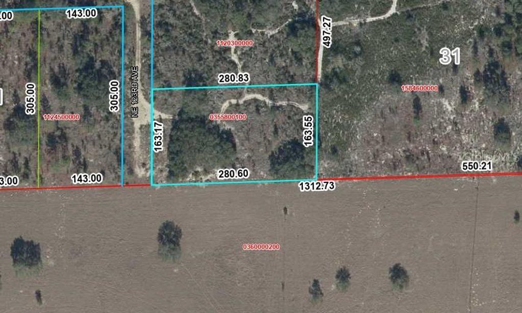 TBD NE 123RD AVE, Williston, FL 32696