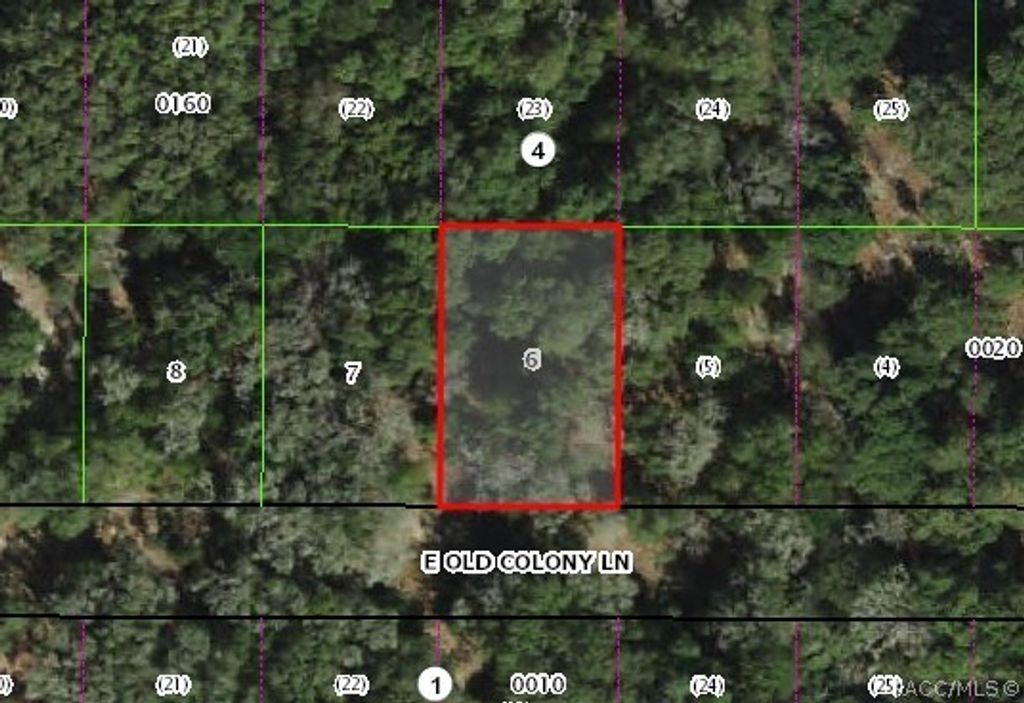 2061 E Old Colony Lane, Inverness, FL 34453