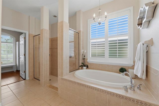 14828 MAN O WAR DRIVE, Odessa, FL 33556