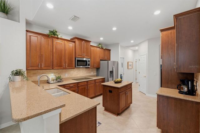 14828 MAN O WAR DRIVE, Odessa, FL 33556