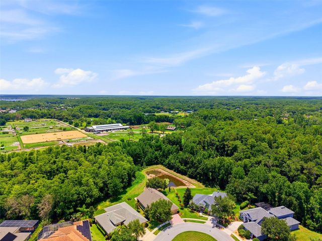14828 MAN O WAR DRIVE, Odessa, FL 33556