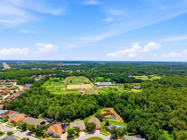 14828 MAN O WAR DRIVE, Odessa, FL 33556