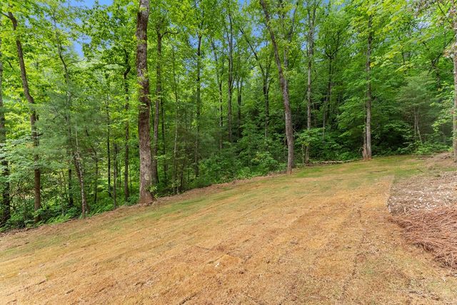 286 Frances Drive, Ellijay, GA 30536