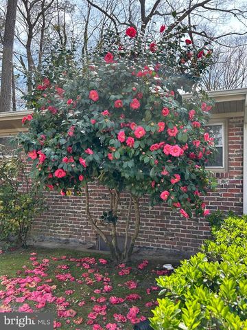 8473 N PRONG LN, Delmar, MD 21875