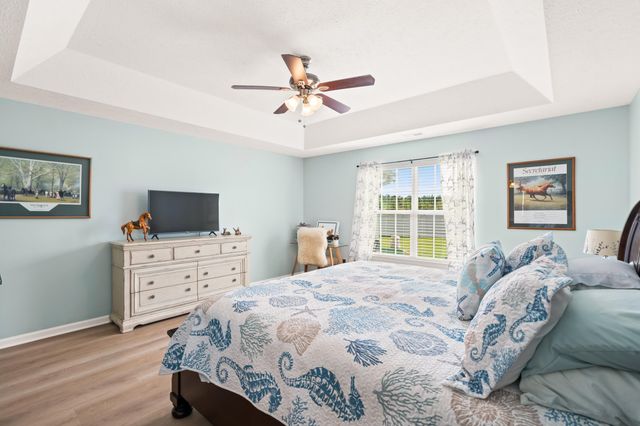 252 Hickory Springs Ct., Conway, SC 29527