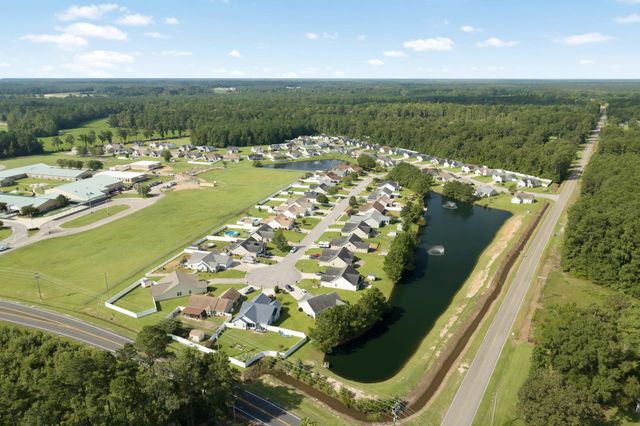 252 Hickory Springs Ct., Conway, SC 29527