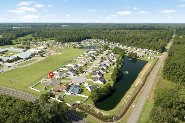 252 Hickory Springs Ct., Conway, SC 29527