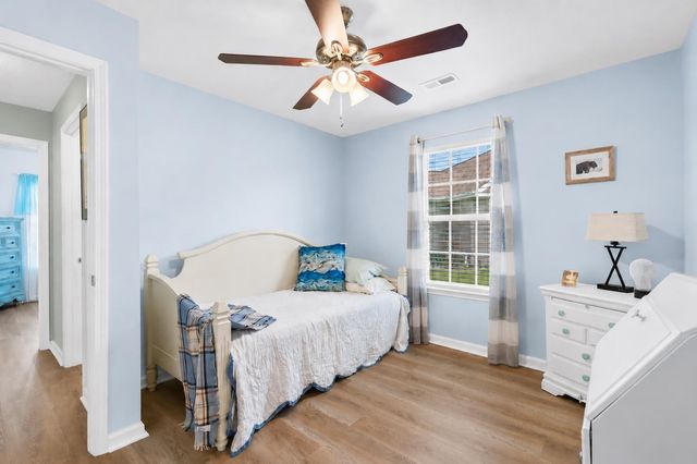 252 Hickory Springs Ct., Conway, SC 29527