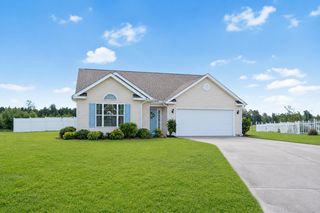 252 Hickory Springs Ct., Conway, SC 29527