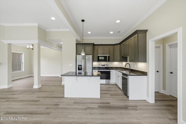 224 Lake View Point, Englewood, TN 37329