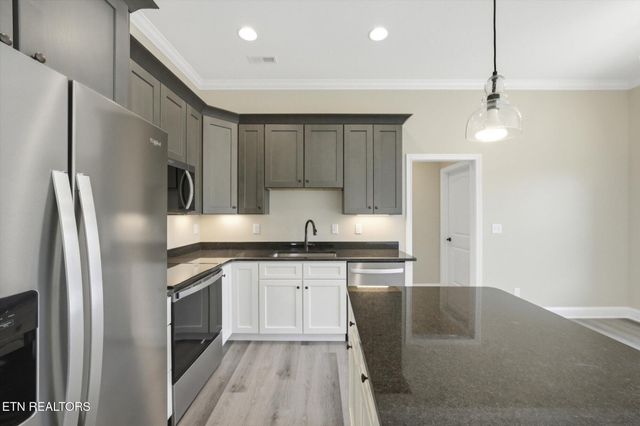 224 Lake View Point, Englewood, TN 37329