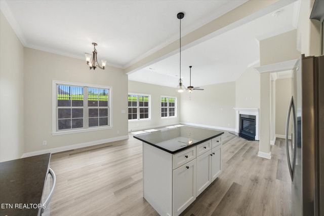 224 Lake View Point, Englewood, TN 37329
