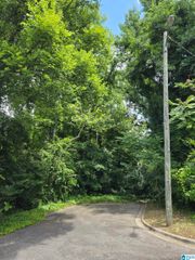 2505 17TH PLACE S, Homewood, AL 35209