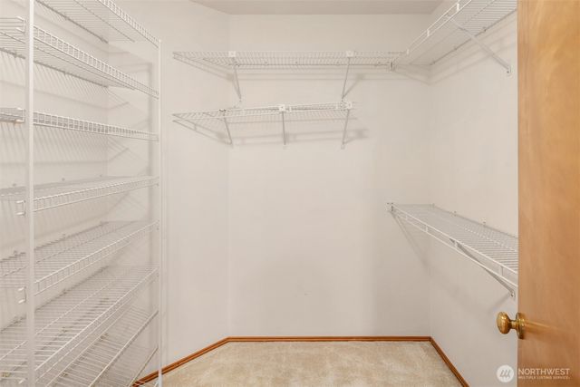 22116 NE 10th Place, Sammamish, WA 98074