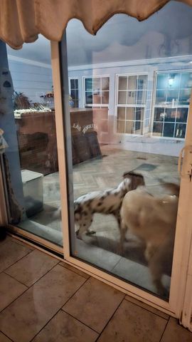 2173 County Road 3011, Dayton, TX 77535