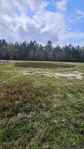 2173 County Road 3011, Dayton, TX 77535