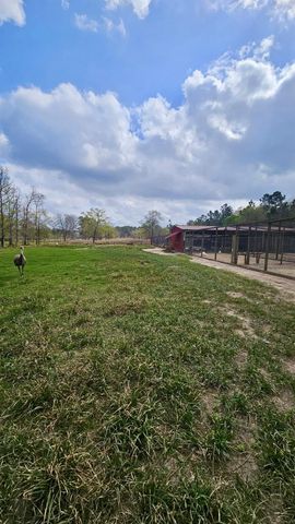 2173 County Road 3011, Dayton, TX 77535